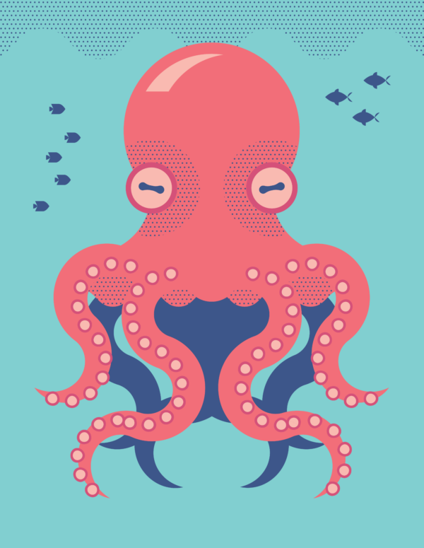 Octopus